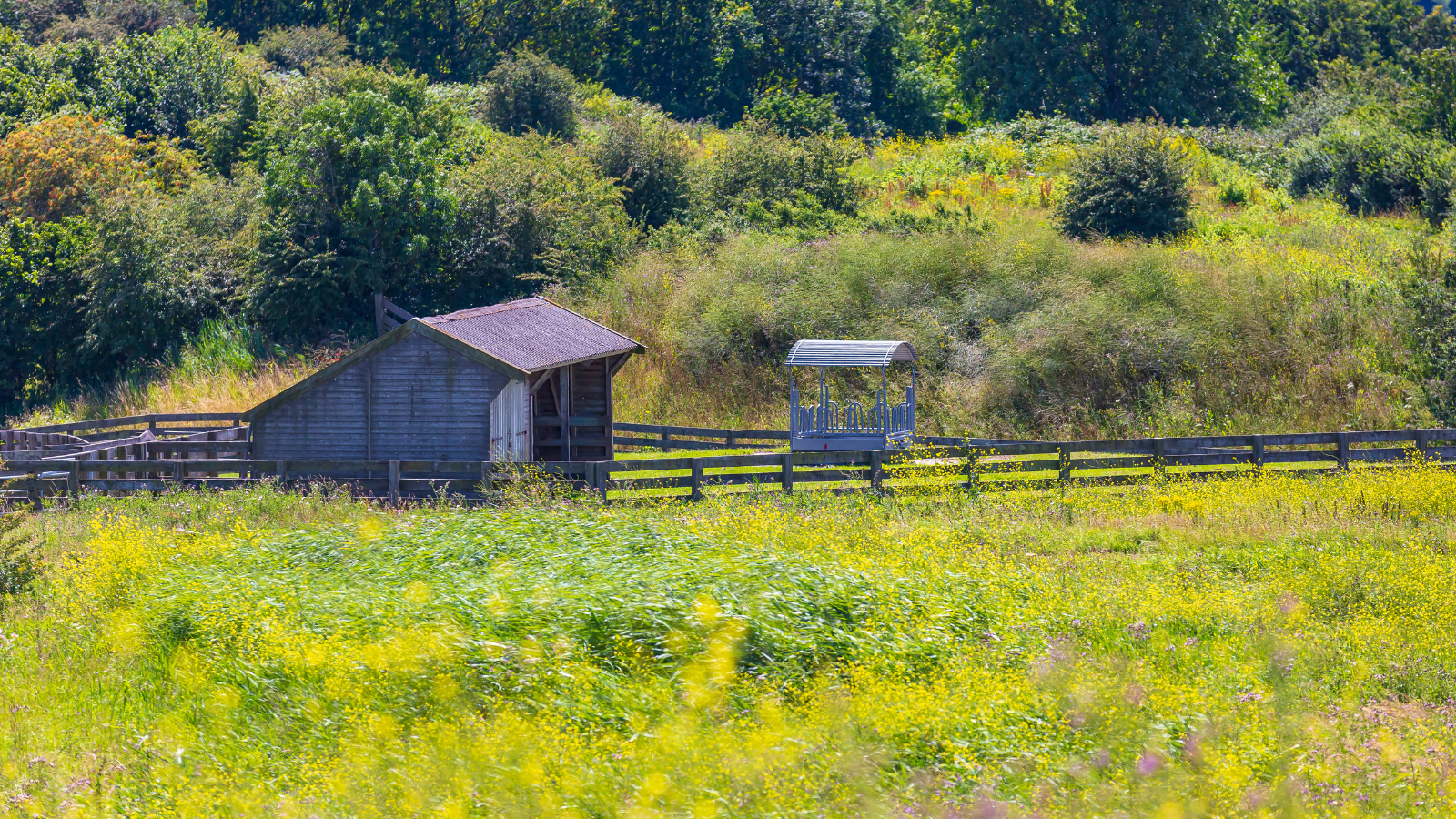 Groene Hartpad Etappe 8 Zoetermeer – Zoeterwoude