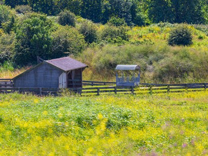 Groene Hartpad Etappe 8 Zoetermeer – Zoeterwoude