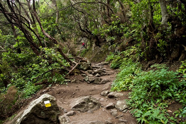 Wandelen in natuurpark Anaga op Tenerife; Chamorga, Igueste De San Andrés