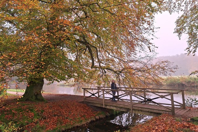 Landgoedwandelingen: Terug in de tijd op Landgoed Schaffelaar