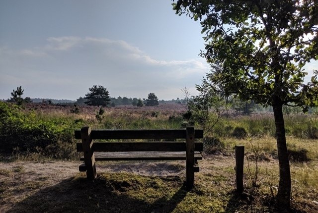 De Mooiste Picknickplekken Van Nederland Prachtige Vergezichten Over Salland
