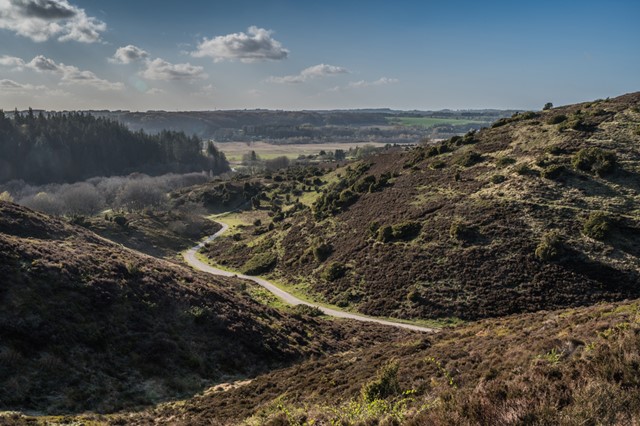 heuvelachtig landschap in Rebild Bakker in Denemarken