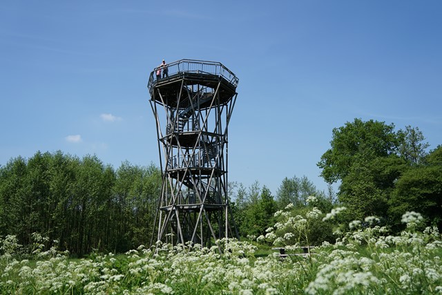 Uitkijktoren Holmers-Halkenbroek (Afbeelding: Alma Wanningen)