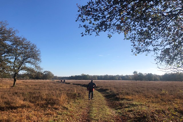 afbeelding van wandelaars in een zonnig winterlandschap.