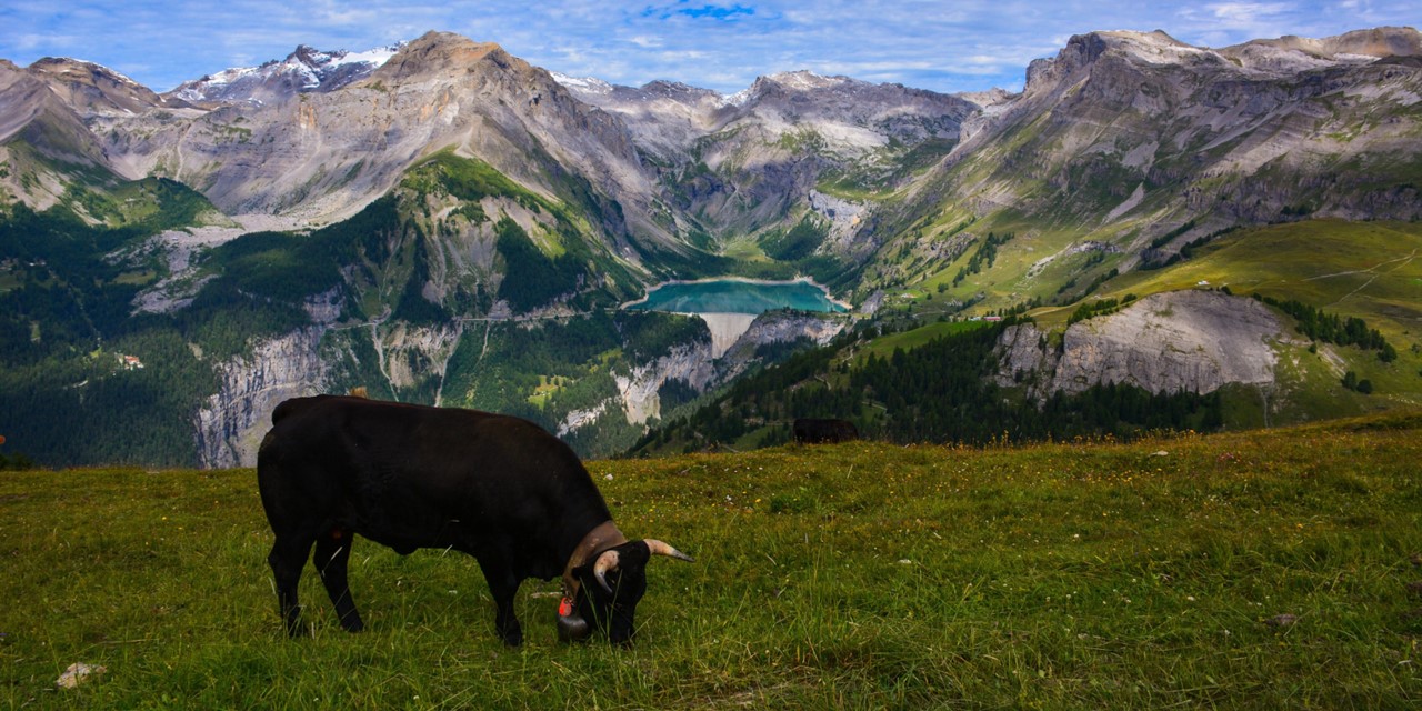 Nu Te Boeken 7 Wandelreizen Van 360° Explore En Wandel.nl
