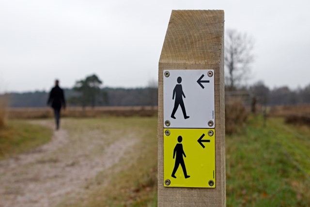afbeelding van een paaltje met een markering voor wandelaars in het Dwingelderveld.