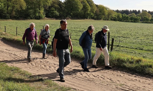 Netwerkwandelen Vrachelse Heide