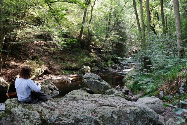 Vallée de la Hoëgne