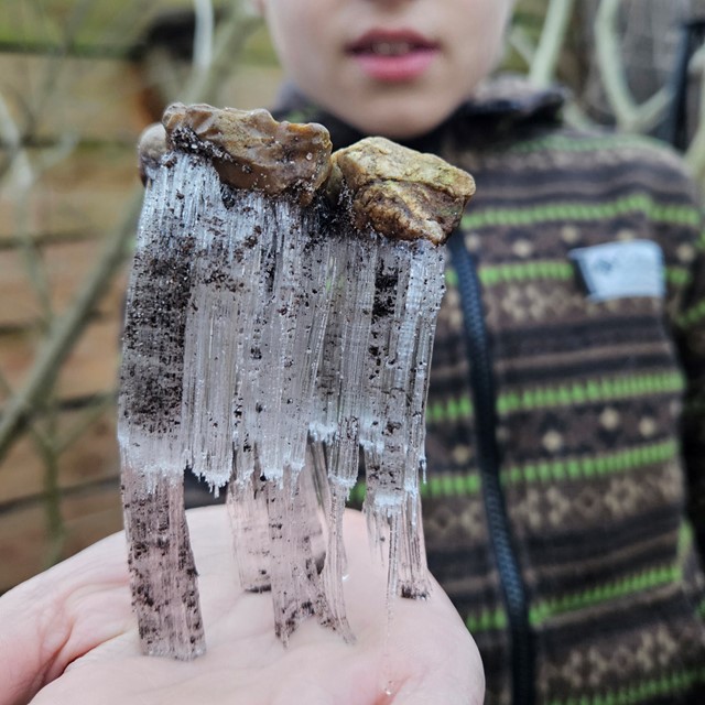 7x Bijzondere natuurverschijnselen in de winter; naaldijs