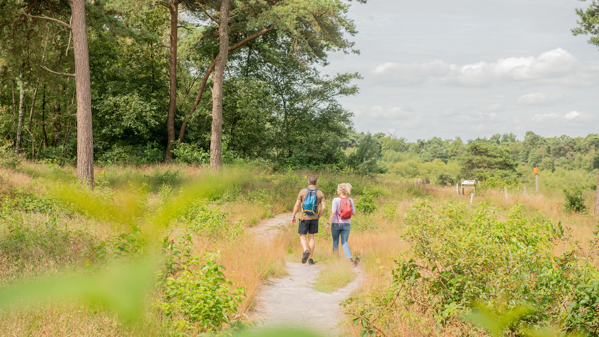 Wandelen over het Oranje-Nassaupad in Grensland De Baronie