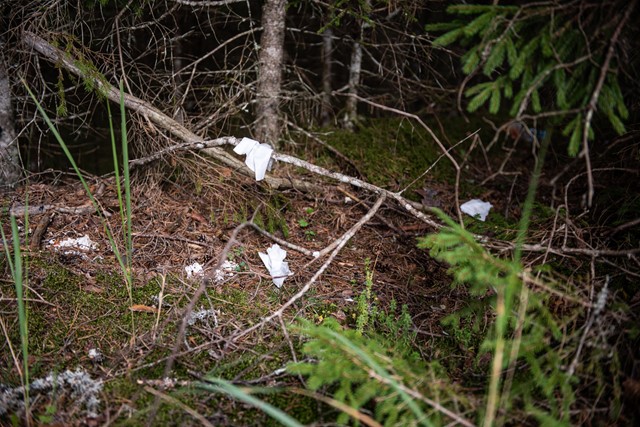 Afbeelding toiletpapier in de natuur