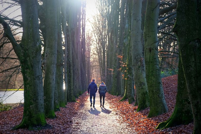 afbeelding van twee wandelaars op een bomenlaan.
