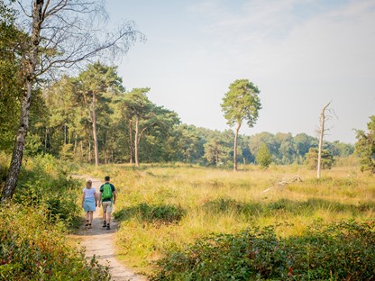 Header | Al smokkelend de grens over in De Baronie