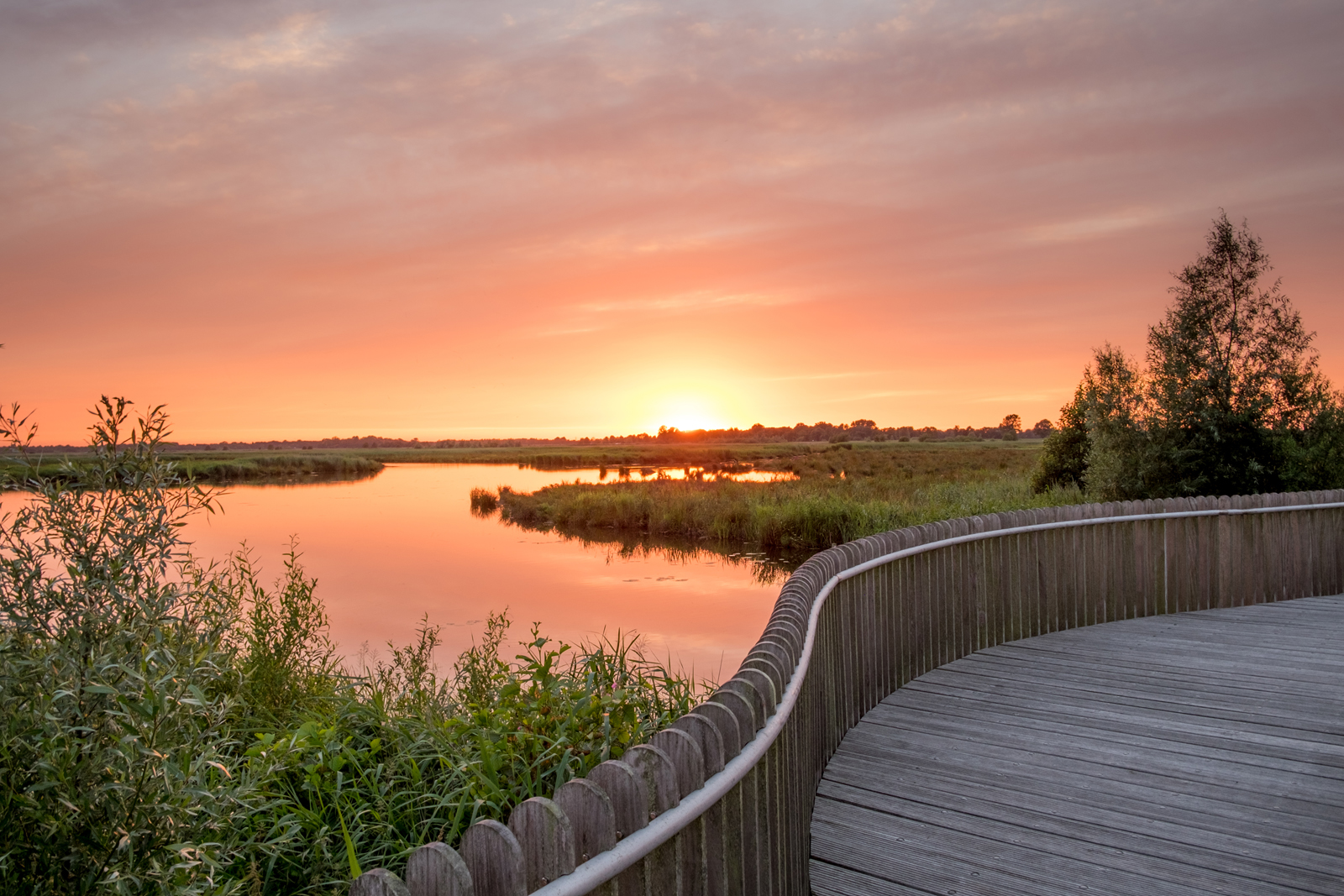 vlonderpad in het moeras in de Onlanden met een gekleurde lucht.