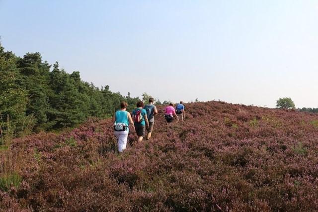 Stiefeltocht op de Loenermark