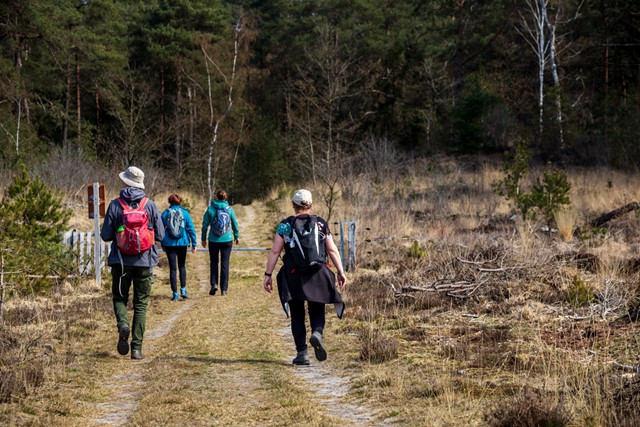 Een groep wandelaars in de natuur.