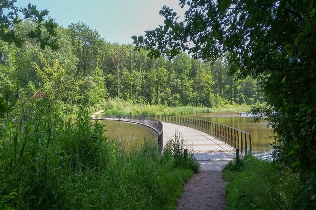 Boswachterspad Zeeland Veerse Bos Langs Kreken En Rietlanden