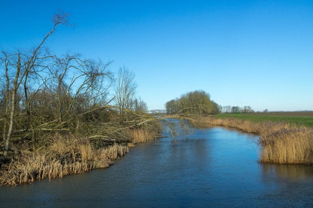 De Biesbosch