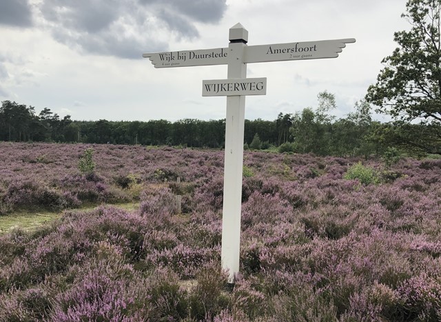 Wegwijzer op het Gelukkigerwijspad