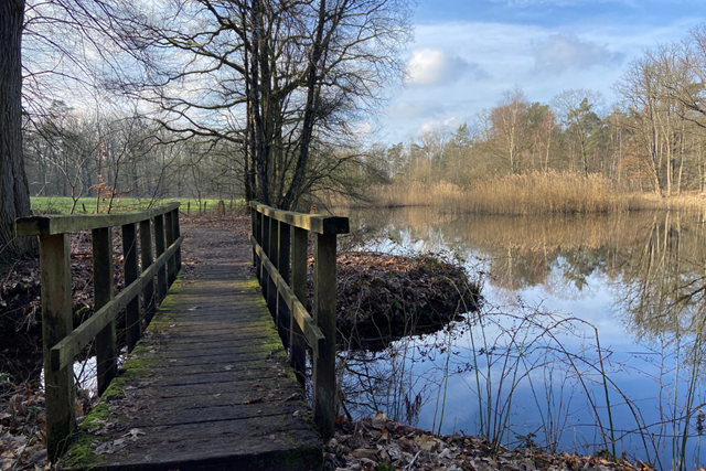 Wandelroute Wandeling Vol Verhalen Op Landgoed Warnsborn: Vijver Rivierkreeften