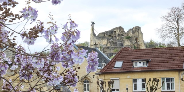 10 Wandelroutes In Zuid Limburg Krijtwandeling Valkenburg Aan De Geul