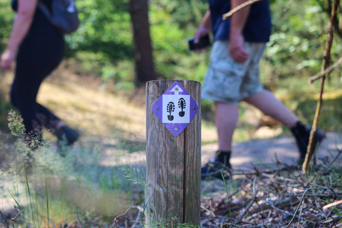Test je kennis met de Wandel.nl Verkeersquiz