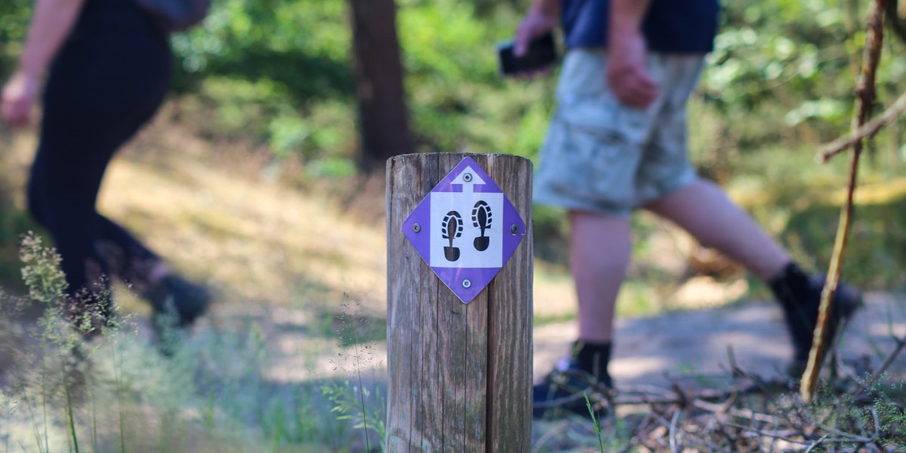 Test je kennis met de Wandel.nl Verkeersquiz