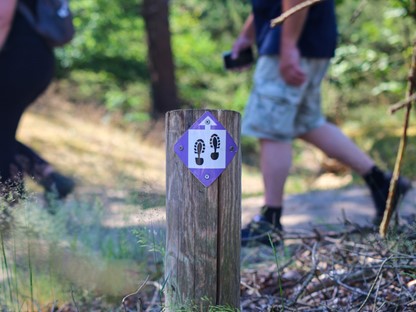 Test je kennis met de Wandel.nl Verkeersquiz