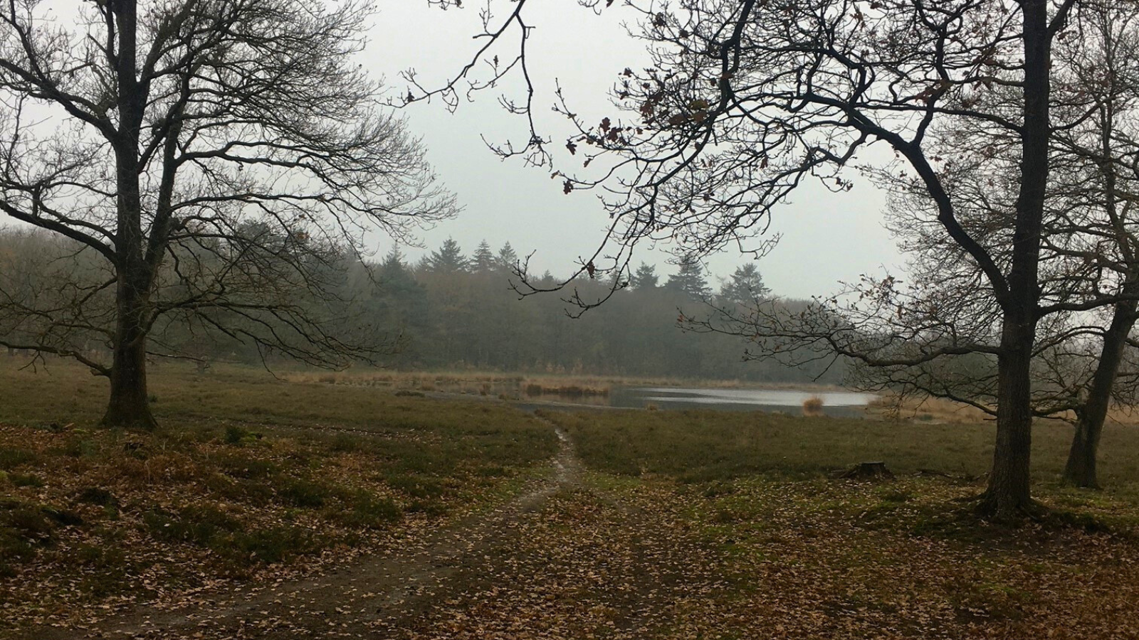 Pieterpad Etappe 6 Schoonloo