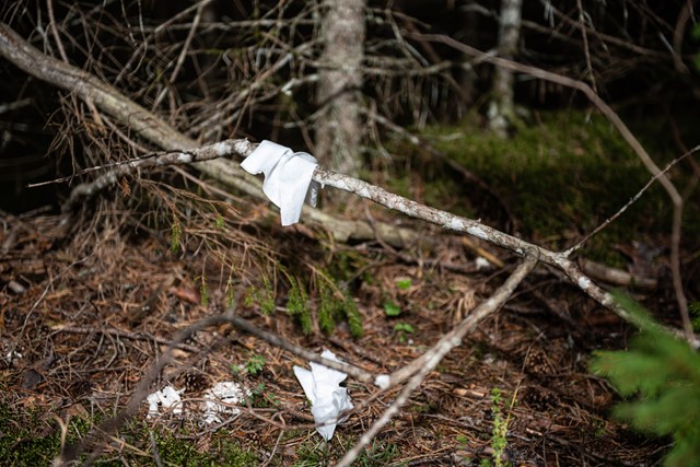 afbeelding van wit toiletpapier in het bos.