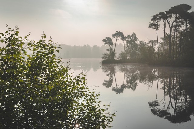 De Oisterwijkse Bossen en Vennen