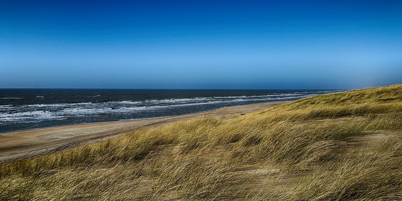 Duinen