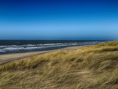 Duinen