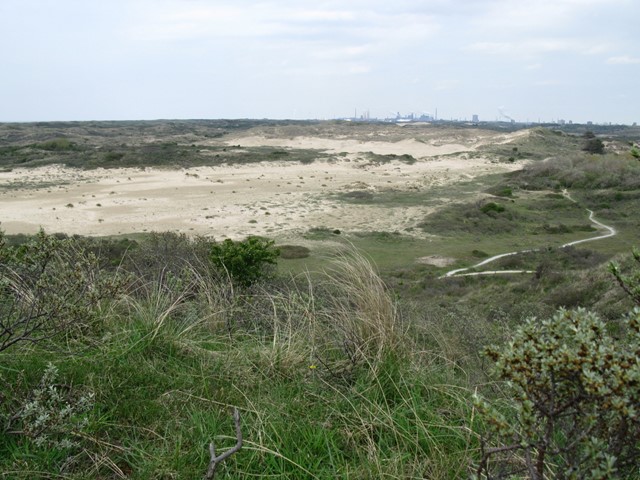 Kennemerduinen