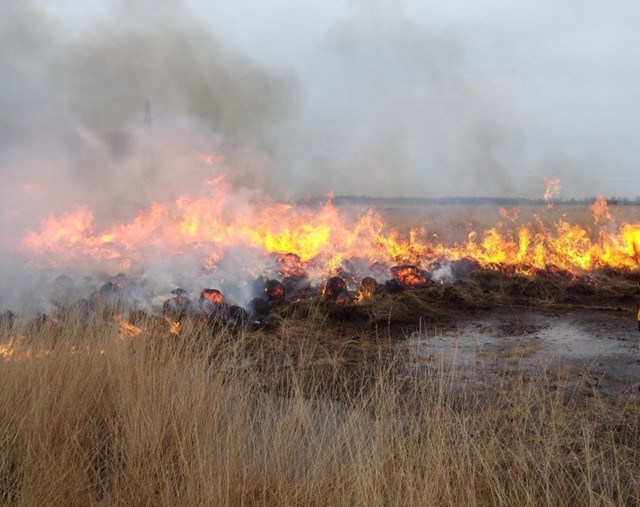 Natuurbrand natuurgebied De Deurnese Peel