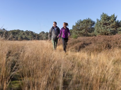 Wandelaars op de hei
