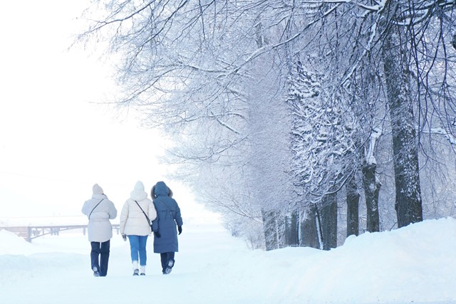 7x Bijzondere natuurverschijnselen in de winter; sneeuw.