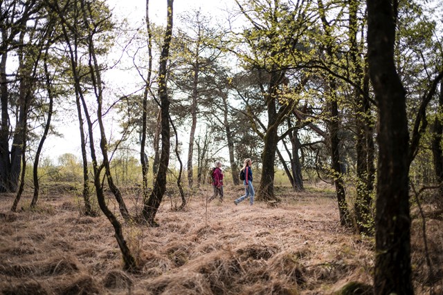 Wandelen in de Achterhoek