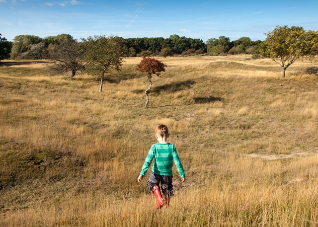 afbeelding van een kind dat aan het wandelen.