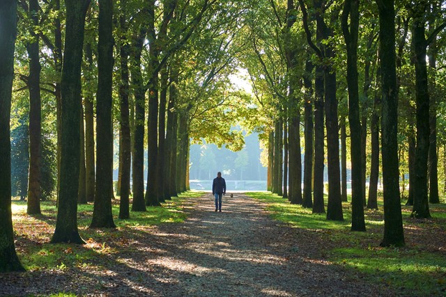 Ns Wandeling De Vuursche, Utrecht