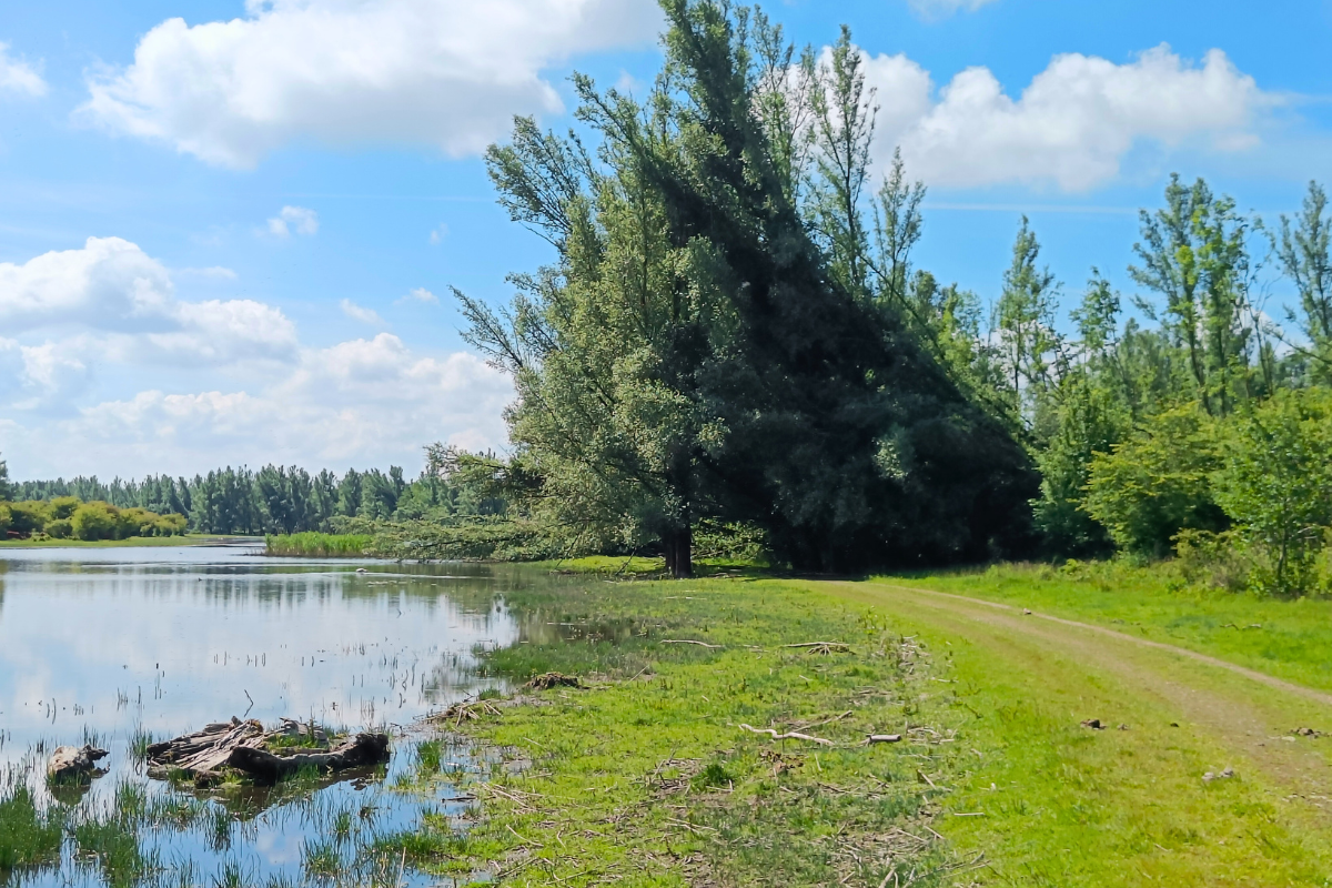 Boswachterspad Horsterwold Stille Kern Tuurtoren