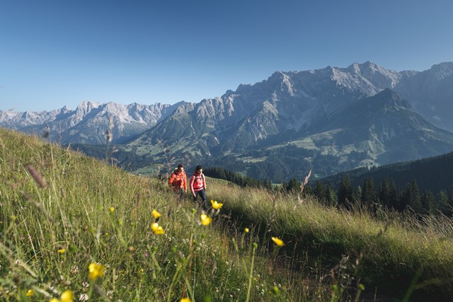 Regio Hochkonig Wandelen In Oostenrijk (2)