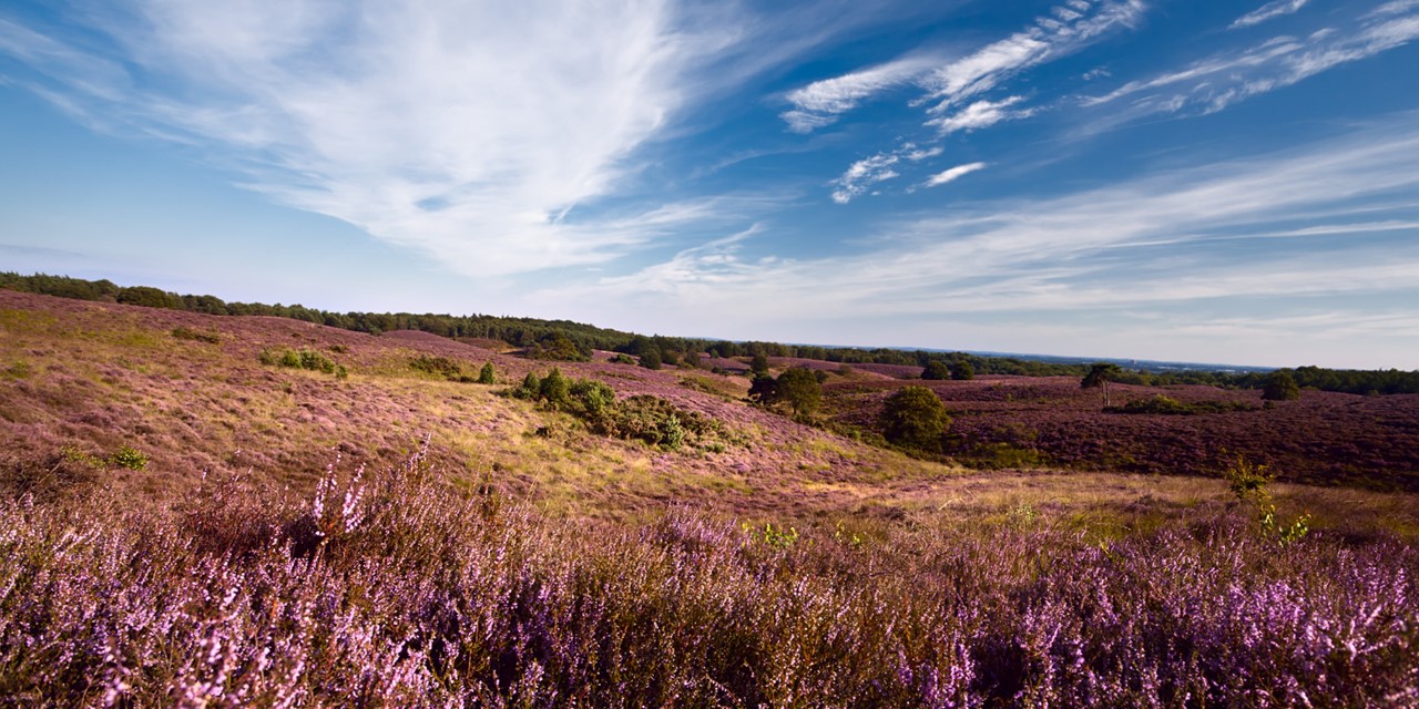 Wandelroutes In Gelderland 5 Tips
