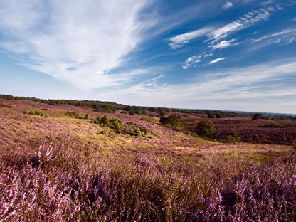 Wandelroutes In Gelderland 5 Tips