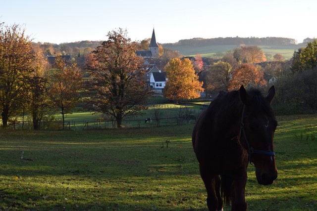 Het heuvellandschap bij Noorbeek