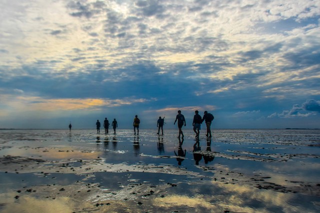 groepje wadlopers met zonsopkomst.