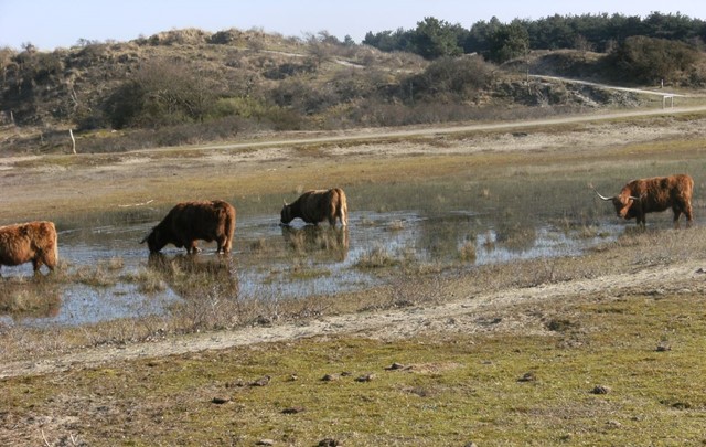 Nationaal Park Zuid-Kennemerland