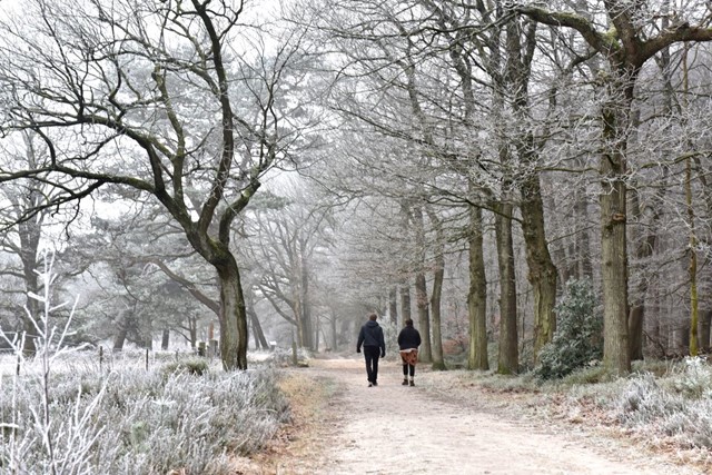 afbeelding van twee wandelaars in een besneeuwd winterlandschap.