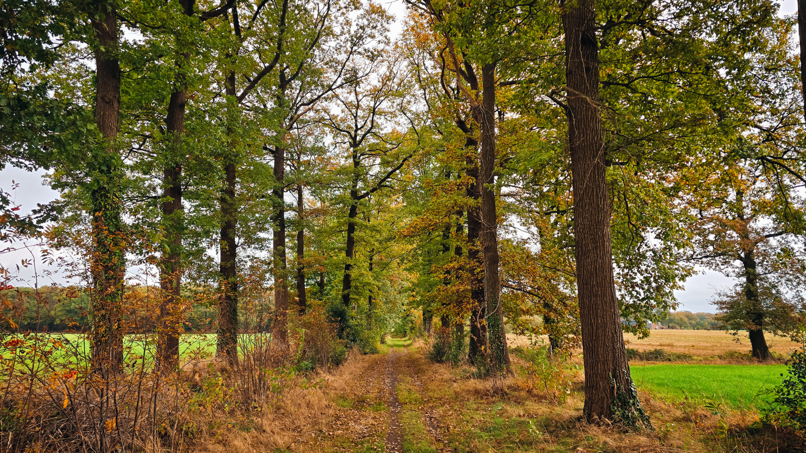 Klompenpad Achterhoek Achterwooldsepad