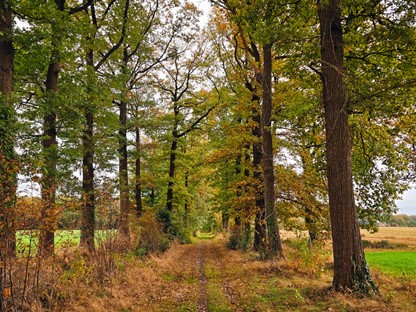 Klompenpad Achterhoek Achterwooldsepad